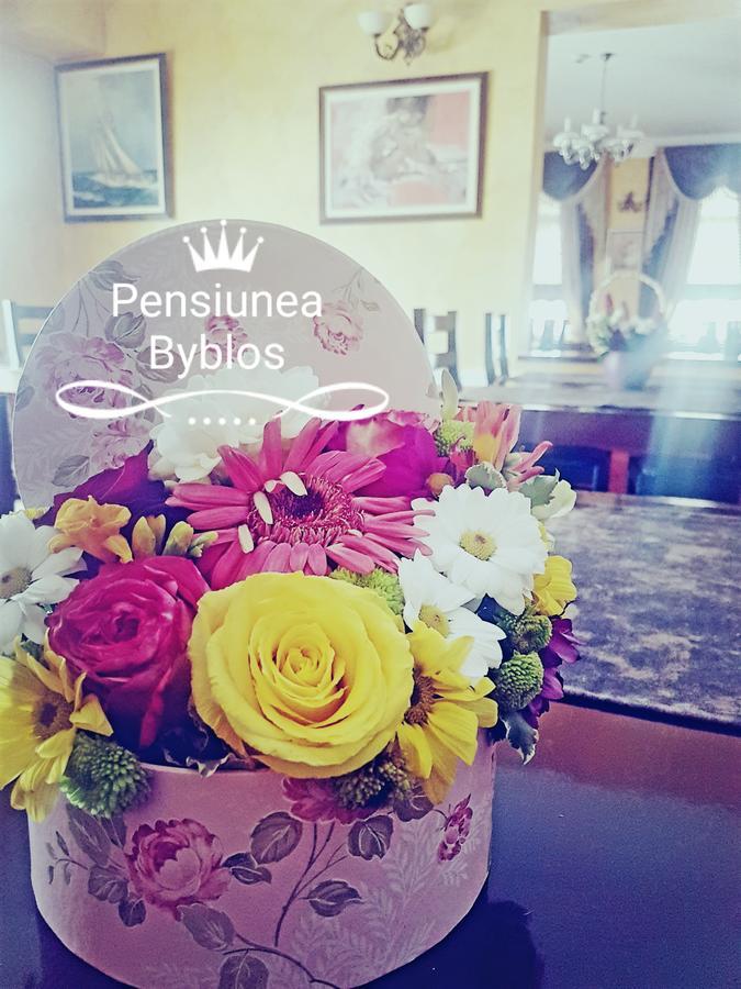 Pensiunea Byblos Piatra Neamt Bagian luar foto